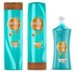 Ficha técnica e caractérísticas do produto Kit Seda Shampoo + Condicionador + Creme para Pentear Bomba Argan - Sfera
