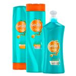 Ficha técnica e caractérísticas do produto Kit Seda Shampoo + Condicionador + Creme para Pentear Bomba Argan