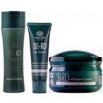 Ficha técnica e caractérísticas do produto Kit SH-RD Shampoo Nutra Therapy - 250ml + Máscara Hair Treatment - 70ml + Leave-in - 80ml - Shaan Honq