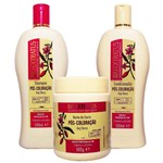 Ficha técnica e caractérísticas do produto Kit Shampoo Banho de Creme e Condicionador Pós Coloração Goji Berry 500ml - Bio Extratus