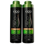Ficha técnica e caractérísticas do produto Kit Shampoo + Condicionador de Tratamento Coco Extra Virgem Eico 2 x 800ml