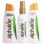 Ficha técnica e caractérísticas do produto Kit Shampoo + Condicionador + Gel Capilar de Aloe Vera
