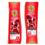 Ficha técnica e caractérísticas do produto Kit Shampoo + Condicionador Herbal Essences Long Term Relationship Kit