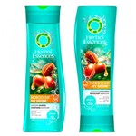 Ficha técnica e caractérísticas do produto Kit Shampoo + Condicionador Herbal Essences Moroccan My Shine