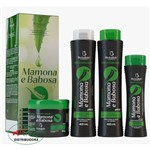 Ficha técnica e caractérísticas do produto Kit Shampoo Mamona e Babosa Bio Instinto