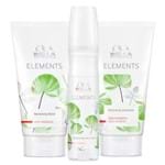 Ficha técnica e caractérísticas do produto Kit Shampoo + Máscara + Leave-In Wella Professionals Elements Kit