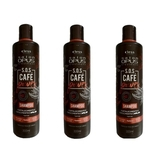 Ficha técnica e caractérísticas do produto Kit 3 Shampoo Salon Opus SOS Café Power 300ml