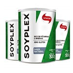 Ficha técnica e caractérísticas do produto Kit 3 SoyPlex Proteína de Soja Vitafor 300g Natural