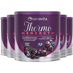 Ficha técnica e caractérísticas do produto Kit 3 Thermo Energy Sanavita Frutas Roxas 300g