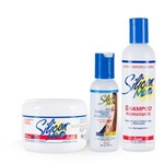 Ficha técnica e caractérísticas do produto KIT Tratamento Hidrataçao Reconstrutiva Shampoo + Máscara + Leave-in