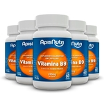 Ficha técnica e caractérísticas do produto Kit 2 Vitamina B9 Apisnutri 60 cápsulas