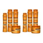 2 Kits de Tratamento Banho de Verniz (4 produtos em cada) - Belkit