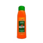 Ficha técnica e caractérísticas do produto La Bella Liss Shampoo De Hidratação Isotônico Capilar 500ml