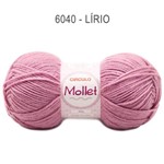 Ficha técnica e caractérísticas do produto Lã Mollet Circulo S/A 100g Cor 6040