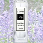 Ficha técnica e caractérísticas do produto Lady perfumes Blue Wind Chime Grapefruit Eau De Toilette A Generation of 30ml