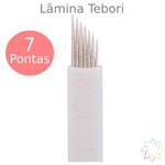 Ficha técnica e caractérísticas do produto Laminas para Tebori