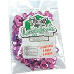 Ficha técnica e caractérísticas do produto Lantejoula Metalizada Rosa Medio N.06 C/1000unid. Honey Pacote