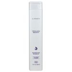 Ficha técnica e caractérísticas do produto Lanza Healing Smooth Glossifying Shampoo 300 ml