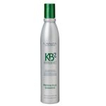 Ficha técnica e caractérísticas do produto Lanza KB2 Protein Plus Shampoo 300 ml