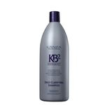 Ficha técnica e caractérísticas do produto Lanza KB2 Shampoo Plus 1 Litro