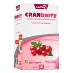 Ficha técnica e caractérísticas do produto Lavitan Cranberry 30 Caps
