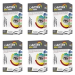 Ficha técnica e caractérísticas do produto Lavitan Mais Visão Suplemento Vitamínico C/60 (kit C/06)