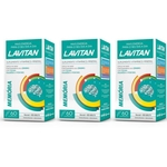 Ficha técnica e caractérísticas do produto Lavitan Memoria Suplemento Vitamínico C/60 (Kit C/03)