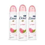 Ficha técnica e caractérísticas do produto Leve 3 Pague 2 Desodorante Dove Go Fresh Granada 89g