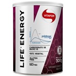 Ficha técnica e caractérísticas do produto Lifes Energy Palatinose 300g - Vitafor
