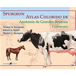 Ficha técnica e caractérísticas do produto Livro - Spurgeon / Atlas Colorido de Anatomia