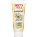 Ficha técnica e caractérísticas do produto Loção de Limpeza Facial Burt'S Bees 170g - Soap Bark