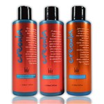 Ficha técnica e caractérísticas do produto Lola Creoula Kit Shampoo, Condicionador e Creme para Cachos Perfeitos - 3X230ml