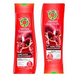 Ficha técnica e caractérísticas do produto Long Term Relationship Herbal Essences - Kit Shampoo + Condicionador Kit