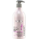 Ficha técnica e caractérísticas do produto Loreal Expert Vitamino Color A-OX Colour Protecting Shampoo - 500ml - 500ml