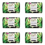 Ficha técnica e caractérísticas do produto Lux Botanicals Flor de Verbena Sabonete Líquido Glicerina 125g (Kit C/06)