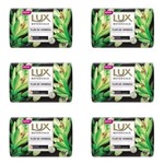 Ficha técnica e caractérísticas do produto Lux Botanicals Flor de Verbena Sabonete Líquido Glicerina 125g - Kit com 06