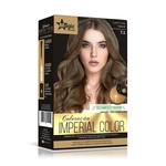 Ficha técnica e caractérísticas do produto Magic Color Coloração Imperial Color 7.1 Louro Cinza Natural