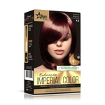 Ficha técnica e caractérísticas do produto Magic Color Kit Imperial Color - 4.6