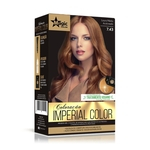 Ficha técnica e caractérísticas do produto Magic Color Kit Imperial Color - 7.43