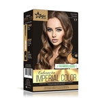 Ficha técnica e caractérísticas do produto Magic Color Kit Imperial Color - 7.7