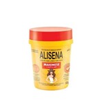 Ficha técnica e caractérísticas do produto Maionese Alisena 500g