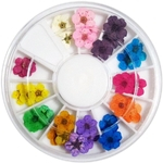 Ficha técnica e caractérísticas do produto Manicure 12 Cores 3D Reais Flores Secas UV Gel Acrílico Prego DIY Art Tips Decor