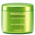 Ficha técnica e caractérísticas do produto Máscara Alfaparf Midollo Di Bamboo Pro-Concentrate de Reconstrução 500g