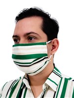 Ficha técnica e caractérísticas do produto Máscara de Proteção Respiratória Listrada Verde