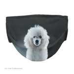 Máscara Dupla Cachorro Poodle Black Black Kit c/ 3