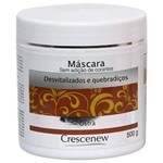 Ficha técnica e caractérísticas do produto Máscara Hidratante Capilar Coquetel de Ostras - 350 Ml