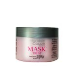 Ficha técnica e caractérísticas do produto Mascara Hidratante Protect Color 250g