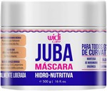 Ficha técnica e caractérísticas do produto Máscara Hidro-Nutritiva Juba Widi Care 500G