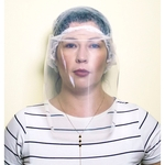 Ficha técnica e caractérísticas do produto Kit Com 10 Máscaras Protetor Facial Com Elástico Grosso Face