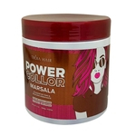 Ficha técnica e caractérísticas do produto Máscara Tonalizante Marsala Power Color Tróia Hair 500gr